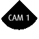 Cam 1